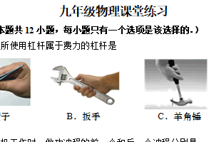江苏省盐城市大丰区实验初级中学2024-2025学年九年级下学期3月月考物理试题（含答案）
