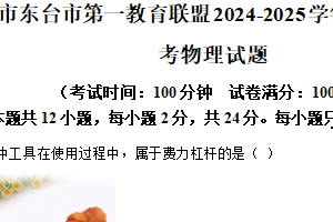 江苏省盐城市东台市第一教育联盟2024-2025学年九年级下学期3月月考物理试题（含解析）