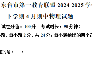 江苏省盐城市东台市第一教育联盟2024-2025学年九年级下学期4月期中物理试题（含解析）