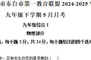 江苏省盐城市东台市第一教育联盟2024-2025学年九年级下学期5月月考物理试题（含解析）