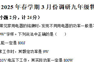江苏省盐城市东台市三校联考2024-2025学年九年级下学期3月月考物理试题（含解析）