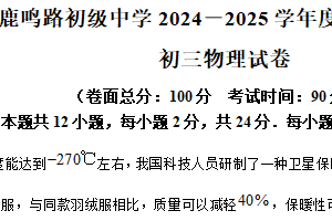 江苏省盐城市鹿鸣路初级中学2024-2025学年九年级下学期期中考试物理试题（含解析）