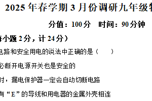 江苏省盐城市响水县2024-2025学年九年级下学期3月月考物理试题（含解析）