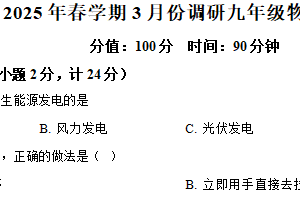 江苏省盐城市盐城经济技术开发区部分学校2024-2025学年九年级下学期3月月考物理试题（含解析）