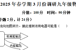 江苏省盐城市盐都区联考2024-2025学年九年级下学期3月月考物理试题（含解析）
