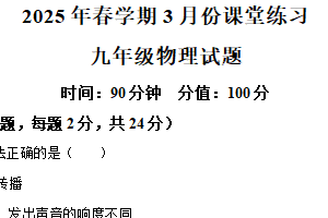 江苏省盐城市盐都区第一共同体2024-2025学年九年级下学期3月月考物理试题（含解析）