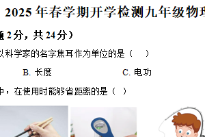江苏省盐城市盐都区部分学校2024-2025学年九年级下学期开学考试物理试题（含解析）