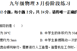 江苏省扬州市高邮市城北中学2024-2025学年九年级下学期第一次课堂练习物理试题（含解析）