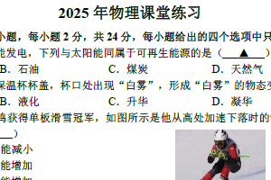 江苏省扬州市高邮市秦邮初级中学2024-2025学年九年级下学期第一次月考物理试卷（含答案）
