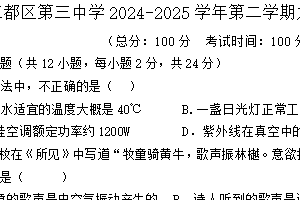 江苏省扬州市江都区第三中学2024-2025学年九年级下学期3月阶段检测物理试卷（含答案）