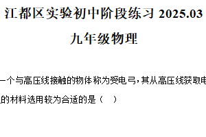 江苏省扬州市江都区实验初级中学2024-2025学年九年级下学期第一次月考物理试题（含解析）