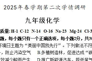 2025江苏省盐城市盐都区中考二模化学试卷（含答案）