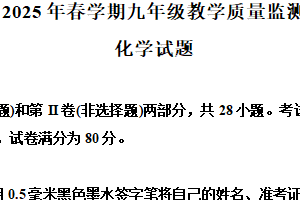 2025年3月江苏省无锡市惠山区九年级第一次模拟考试化学试题（含解析）