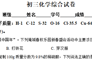 2025年5月江苏省泰州中学附属初级中学九年级化学综合试卷（含解析）