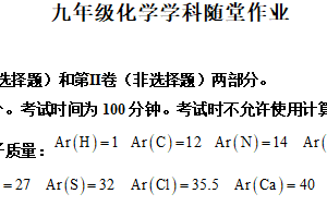 2025年江苏省常州市金坛区华罗庚实验学校九年级化学三模试卷（含解析）
