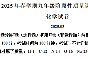 2025年江苏省常州市金坛区中考一模化学试题（含解析）