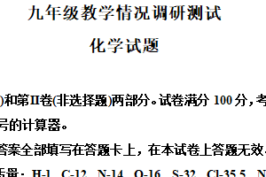 2025年江苏省常州市九年级化学教学情况调研测试化学试题（含解析）