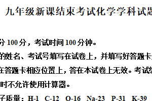 2025年江苏省常州市武进区前黄实验初中九年级化学新课结束考试题（含解析）