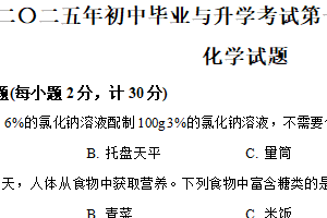 2025年江苏省淮安市洪泽区中考第一次调研模拟考试化学试题（含解析）