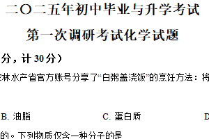 2025年江苏省淮安市金湖县部分校中考第一次检测化学试题（含解析）