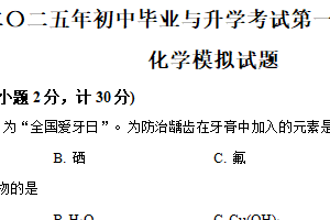 2025年江苏省淮安市经济技术开发区部分校中考第一次检测化学试题（含解析）