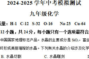 2025年江苏省连云港市东海县初级中学中考二模化学试题（含解析）