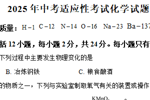 2025年江苏省连云港市东海县实验中学中考二模化学试题（含解析）