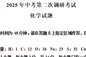 2025年江苏省连云港市东海县中考二模化学试题（含解析）
