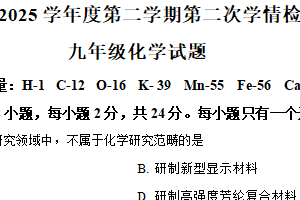 2025年江苏省连云港市东海县朱自清中学中考二模考试化学试题（含解析）