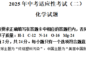2025年江苏省连云港市赣榆区、灌云县中考二模联考化学试卷（含解析）
