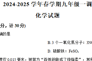 2025年江苏省连云港市赣榆区中考一模化学试题（含解析）