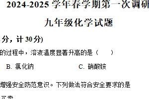 2025年江苏省连云港市连云港高新技术产业开发区部分校第一次检测化学试题（含解析）