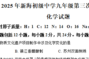 2025年江苏省连云港市新海初级中学中考第三次模拟考试化学试卷（含解析）
