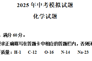 2025年江苏省连云港市新海初级中学中考化学一模试题（含解析）