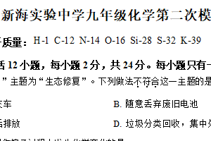 2025年江苏省连云港市新海实验中中考二模化学试卷（含解析）