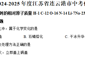 2025年江苏省连云港市中考一模模拟化学试题（含解析）