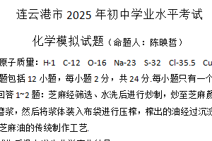 2025年江苏省连云港中考模拟化学试题（含答案）