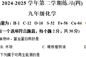 2025年江苏省南京市金陵中学河西分校中考四模化学试卷（含解析）
