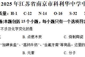 2025年江苏省南京市科利华中学中考零模化学试题（含解析）