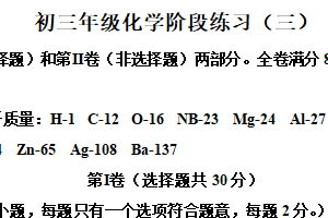 2025年江苏省南京市南京外国语学校中考零模化学试题（含解析）