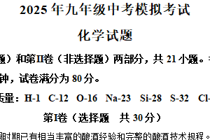 2025年江苏省南京市软件谷中学中考模拟考试化学试题（含解析）