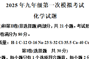 2025年江苏省南京市软件谷中学中考一模化学试题（含解析）