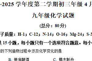 2025年江苏省南京市玄武区第十三中集团校零模模拟预测化学试题（含解析）