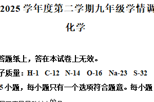 2025年江苏省南京市玄武区中考一模考试化学试题（含解析）