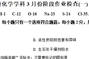 2025年江苏省南京市钟英中学3月中考阶段性练习化学试题（含解析）