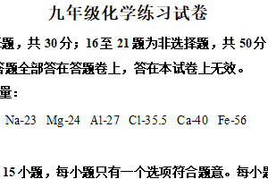 2025年江苏省南京市钟英中学中考零模化学试题（含解析）