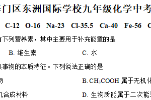 2025年江苏省南通市海门区东洲国际学校中考模拟（一）化学试题（含解析）