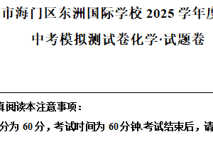 2025年江苏省南通市海门区东洲国际学校中考模拟预测化学试题（含解析）