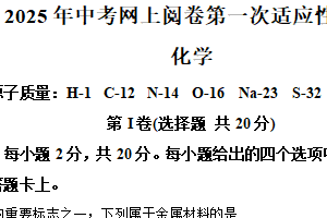 2025年江苏省南通市通州区中考一模调研考试化学试卷（含解析）