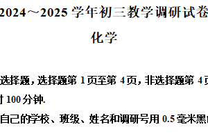 2025年江苏省苏州市工业园区中考一模化学试题（含解析）
